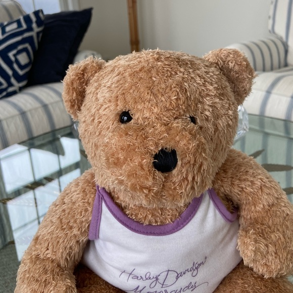 Harley Davidson Stuffed Animal - Teddy Bear with Hartley T-Shirt - Picture 8 of 9